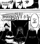 «Теневой коридор»