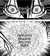 Магия теней: «Ясновидение небесной тени»