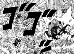 Райгер Бомб