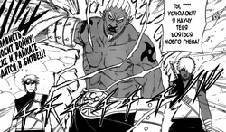 Райтон но Йорой