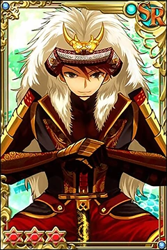 БаттларКард (9)