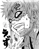 Суна но йорой