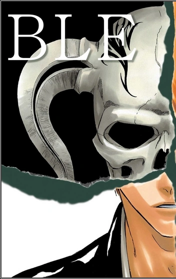 Ichigo Kurosaki Bleach (4)