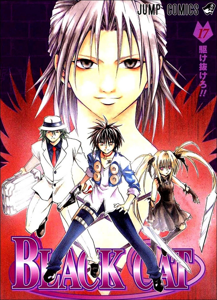 Black Cat | Anime Characters Fight вики | Fandom