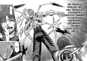 Паук-охотник MK-8