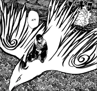 Птица для полётов