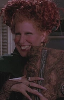 Сёстры Сандерсон