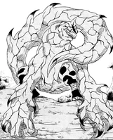 Полный покров