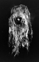 Нечто из космоса