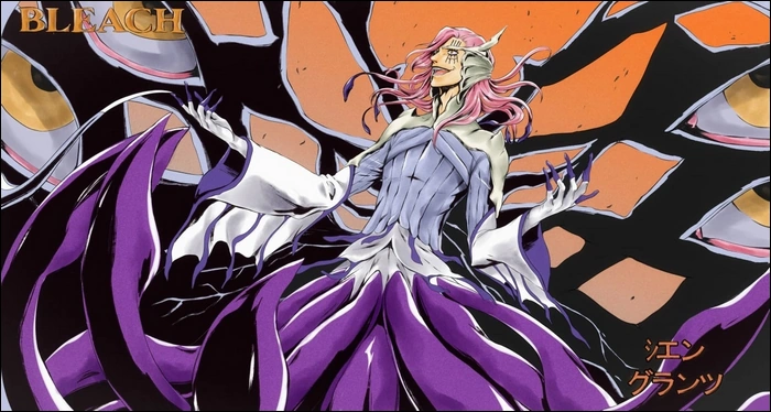 Cien Granz (Bleach) (5)