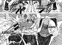 БиДвойнойЛариат.png (638 КБ) Двойной лариат