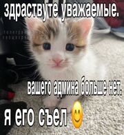Гиперкот3000000000000000