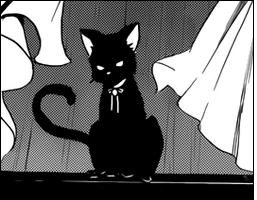 Эрика в форме кошки