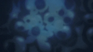 Ezgif-85d11b2a433575
