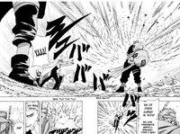 Суна но тате