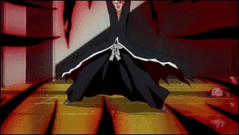 Ichigo Kurosaki Bleach 2 (16)