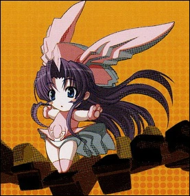 Возможно, так она бы выглядела в форме полу-книги