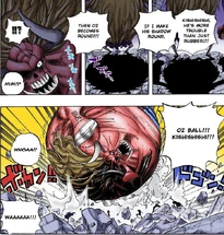 Kage Kakumei