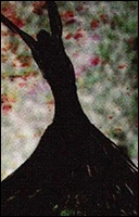 Мадока Канаме