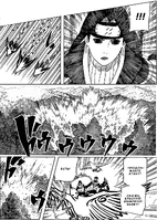 Птицы с кибафуда