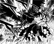 Режим: Галлюс × Фелис