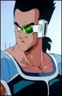 Тора Dragon Ball