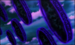 Ezgif-4-c7dfb0d25045