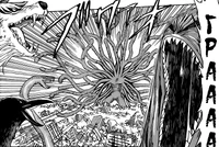 Shiju (15).png (351 КБ) Дополнительные конечности