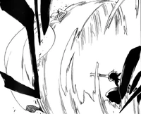 Удар с Мукюу Шунко