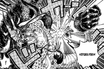 Gomu Gomu no Rokku Gan