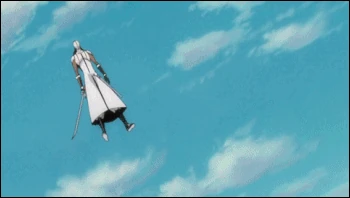 Kaname Tōsen 2 (Bleach) (13)