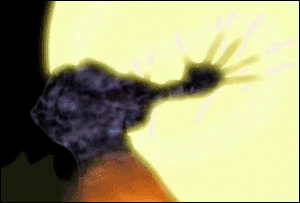 Nezgif-1-673849976cb5