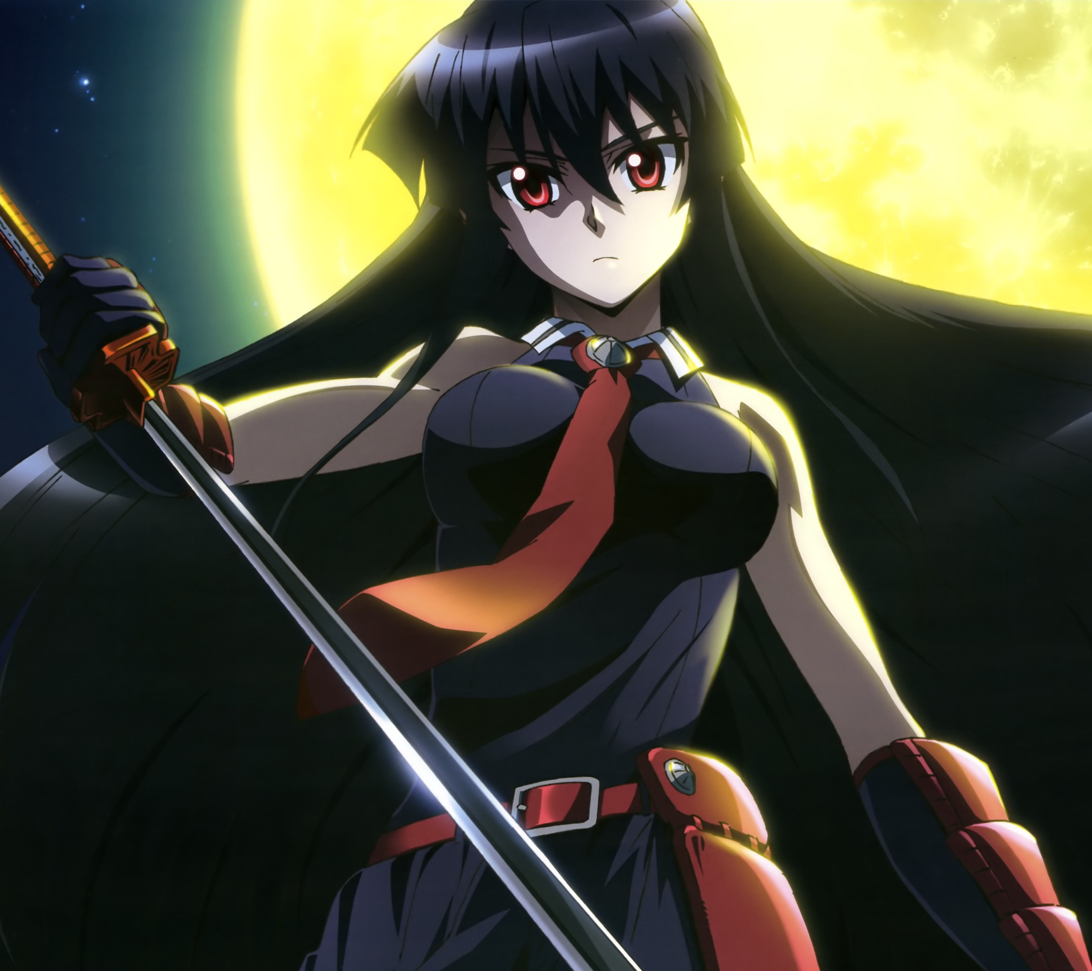 Akame, Character Profile Wikia