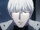 Investigator Arima