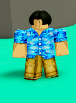 Anime Fighters Simulator, Roblox Wiki