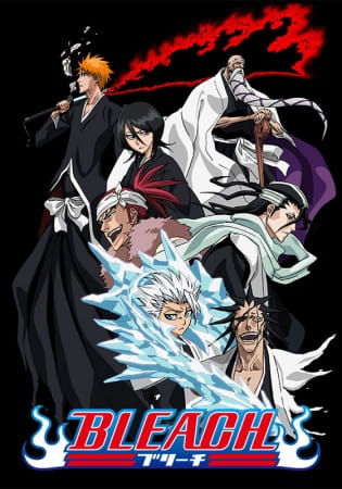 Viz Media Bleach Uncut Set 24 (Eps 330-342) DVD