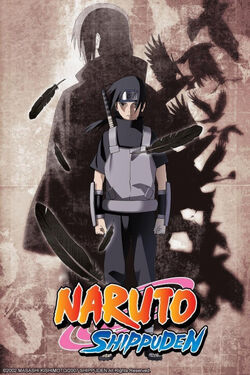 Naruto Shippuden, Wiki Anime sin relleno