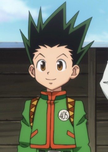 Gon freecss, Wiki