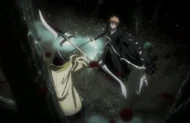 Ep334IchigoDefeated