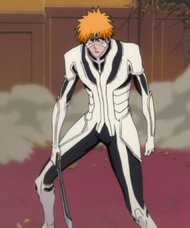 Ichigo Complete Fullbring