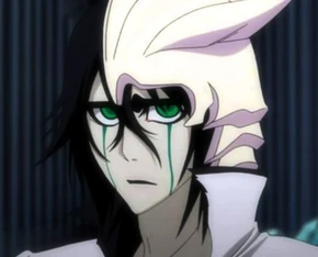 Ulquiorra Cifer | Anime And Manga Universe Wiki | Fandom