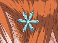 One half of the Shun Shun Rikka in their sealed state.