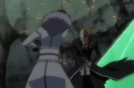 Muramasa fights Vizard Ichigo