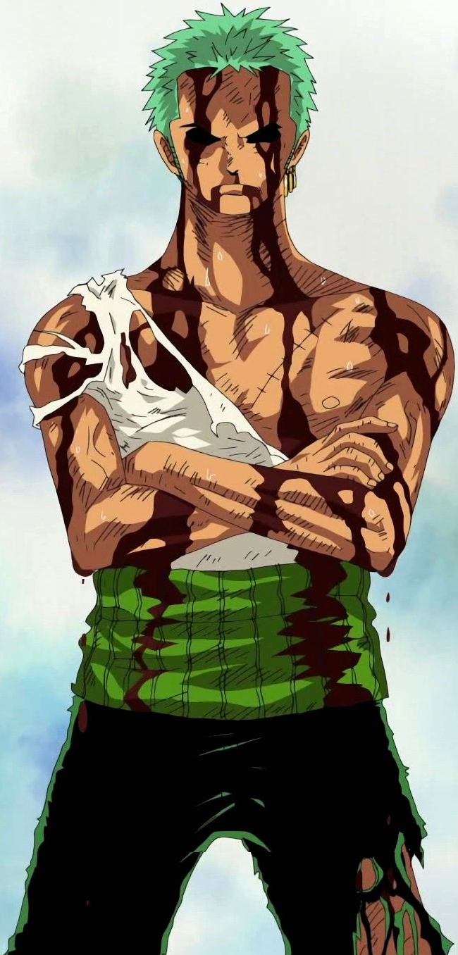 Why did Mihawk train Zoro? - Quora