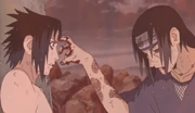 The conclusion of Sasuke's battle with his brother.
