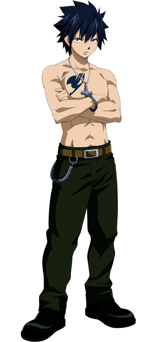 Fairy Tail - Gray Fullbuster  Fairy tail anime gray, Fairy tail