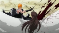 Ichigo Slashes Aizen
