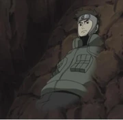 Tenzo hiding in rocks