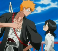 Ichigo Rukia Reunion ep41