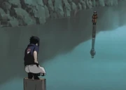 Sasuke and Naruto face off.